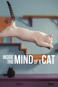 Внутри разума кошки (О чем думают кошки)