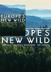 Новая жизнь дикой природы Европы