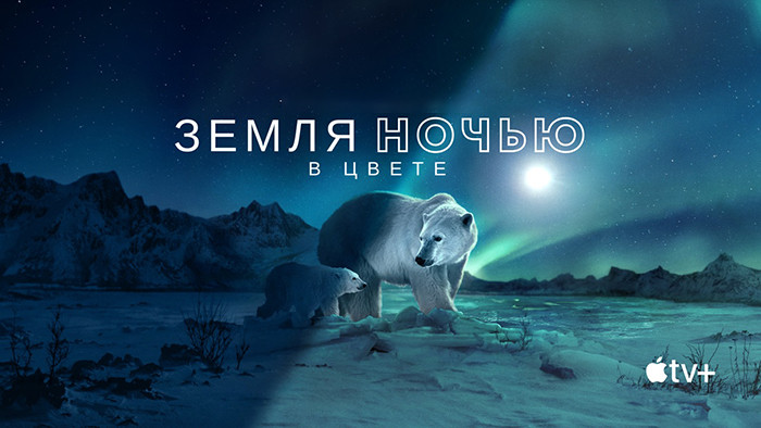 Земля ночью в цвете