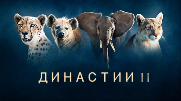Династии