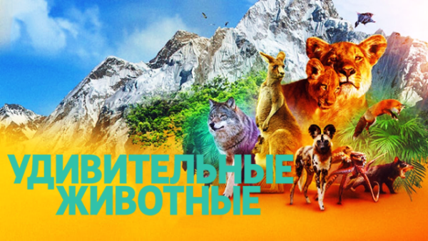 Удивительные животные (2 Сезон)