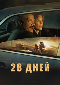 28 дней (Воздушный змей)