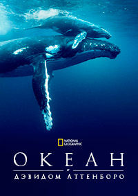 National Geographic. Океан с Дэвидом Аттенборо