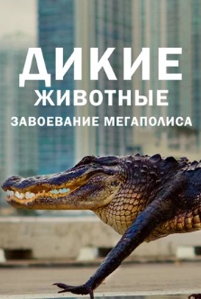 Дикие животные: Завоевание мегаполиса