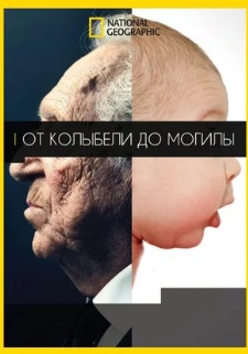 От колыбели до могилы