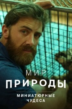 Мир природы. Миниатюрные чудеса