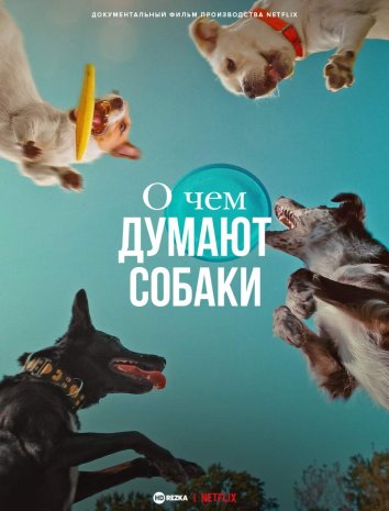 О чем думают собаки