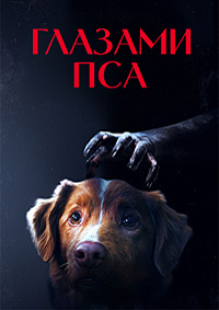 Глазами пса