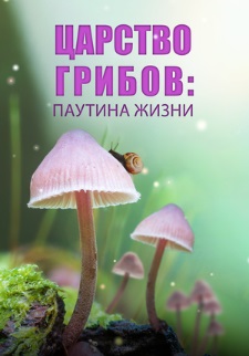 Царство грибов: Паутина жизни