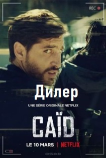 Дилер