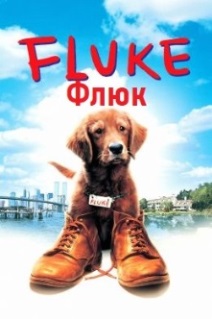 Флюк