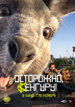 Осторожно, кенгуру!