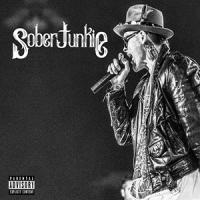Sober Junkie #5