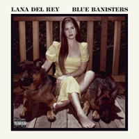 Blue Banisters #6