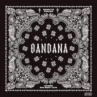 BANDANA #14